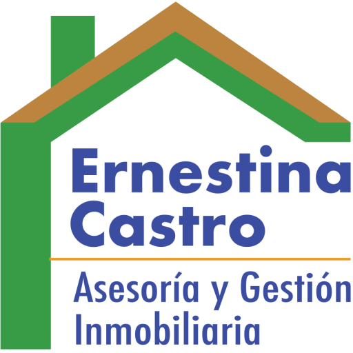 ernestinacastro.cl