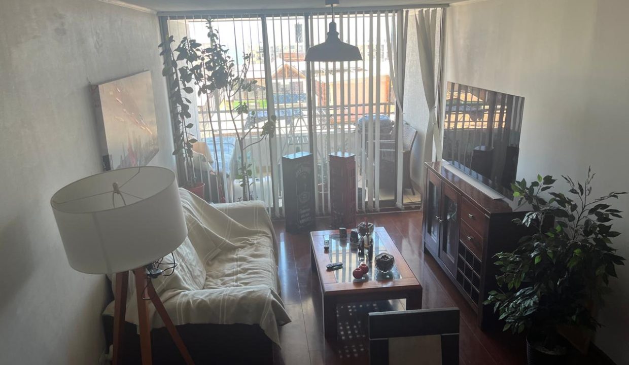 WhatsApp Image 2026-02-11 at 10.44.22 (8)