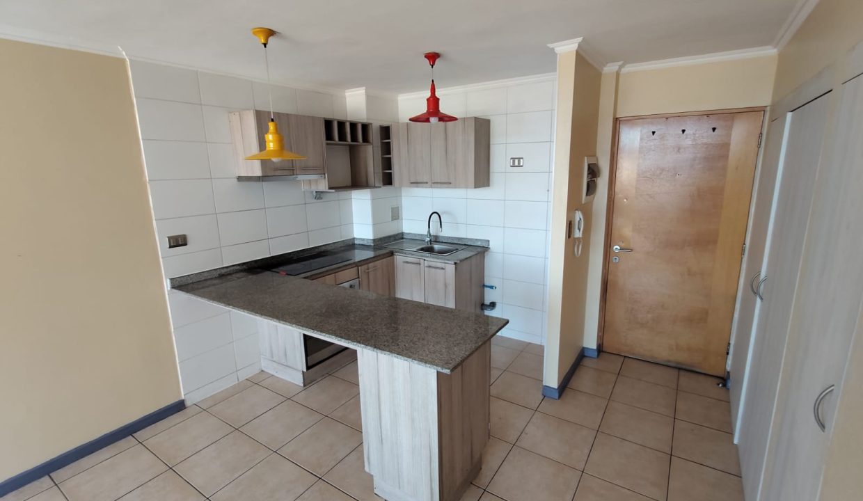 WhatsApp Image 2026-02-12 at 10.37.14 (3)