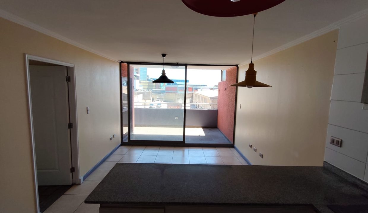 WhatsApp Image 2026-02-12 at 10.37.14 (44)