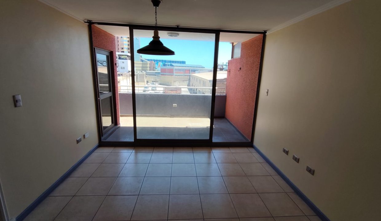 WhatsApp Image 2026-02-12 at 10.37.14 (5)