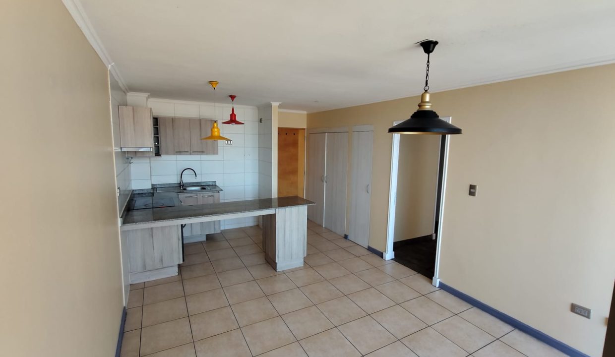 WhatsApp Image 2026-02-12 at 10.37.14 (7)