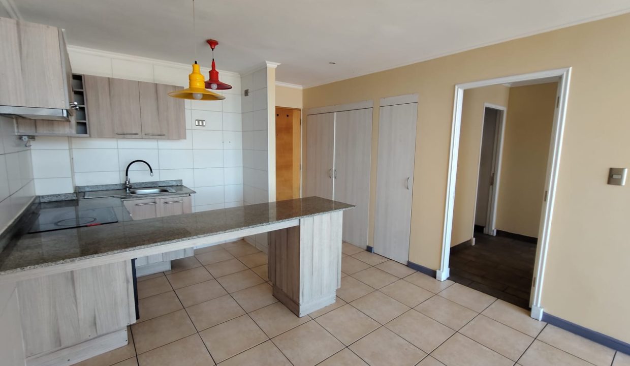 WhatsApp Image 2026-02-12 at 10.37.14 (8)