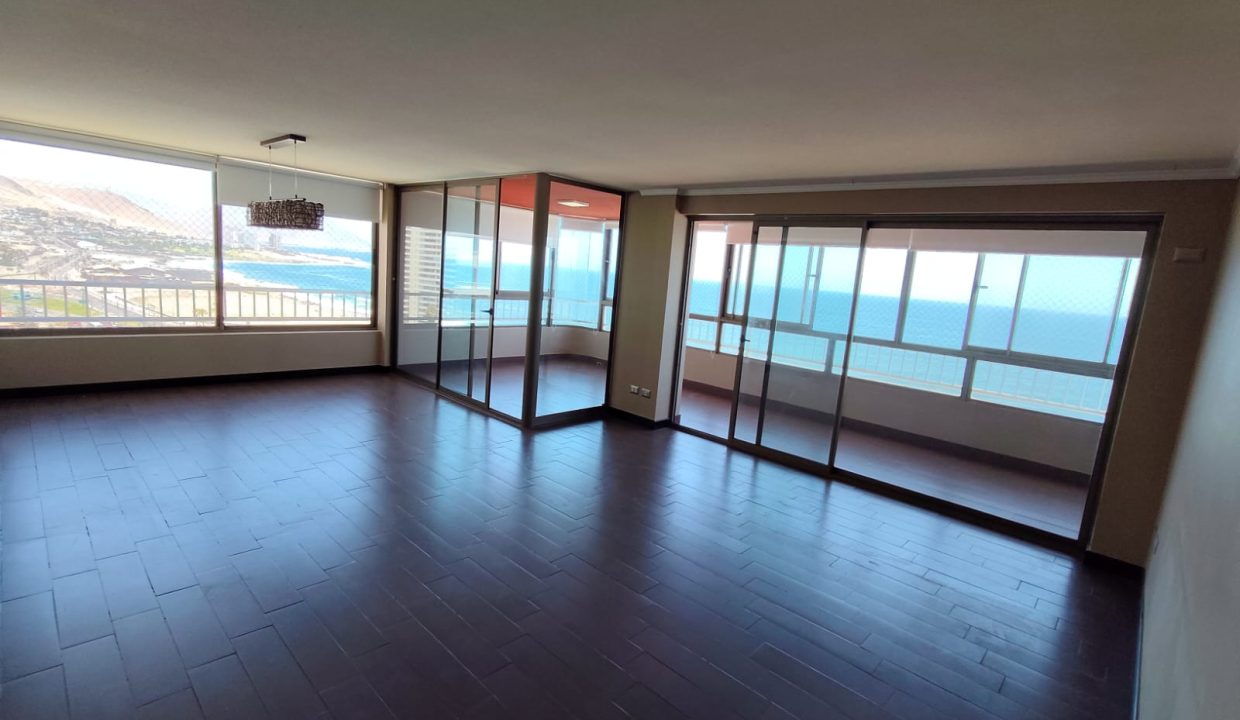 WhatsApp Image 2026-02-17 at 11.19.10