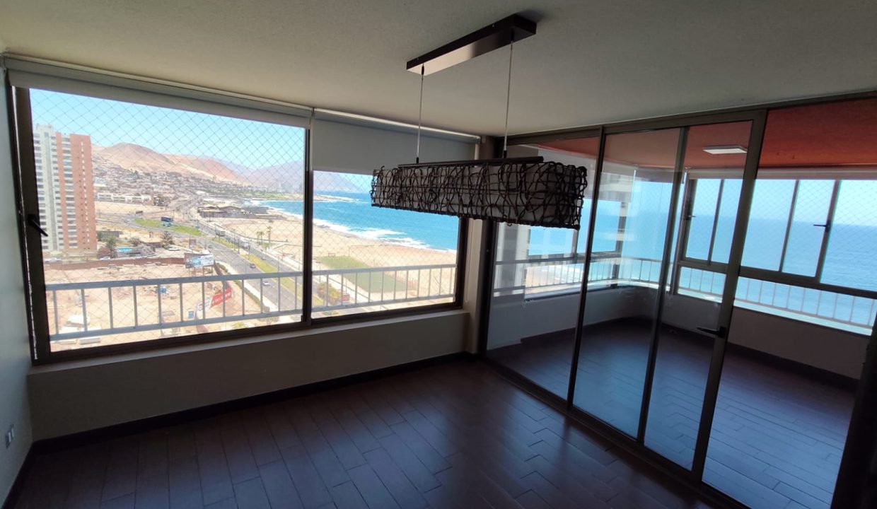 WhatsApp Image 2026-02-17 at 11.19.11 (3)