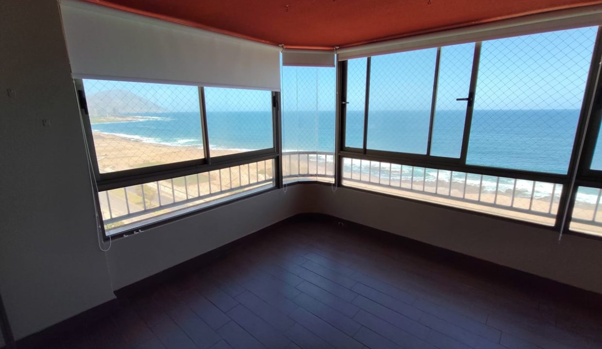 WhatsApp Image 2026-02-17 at 11.19.12