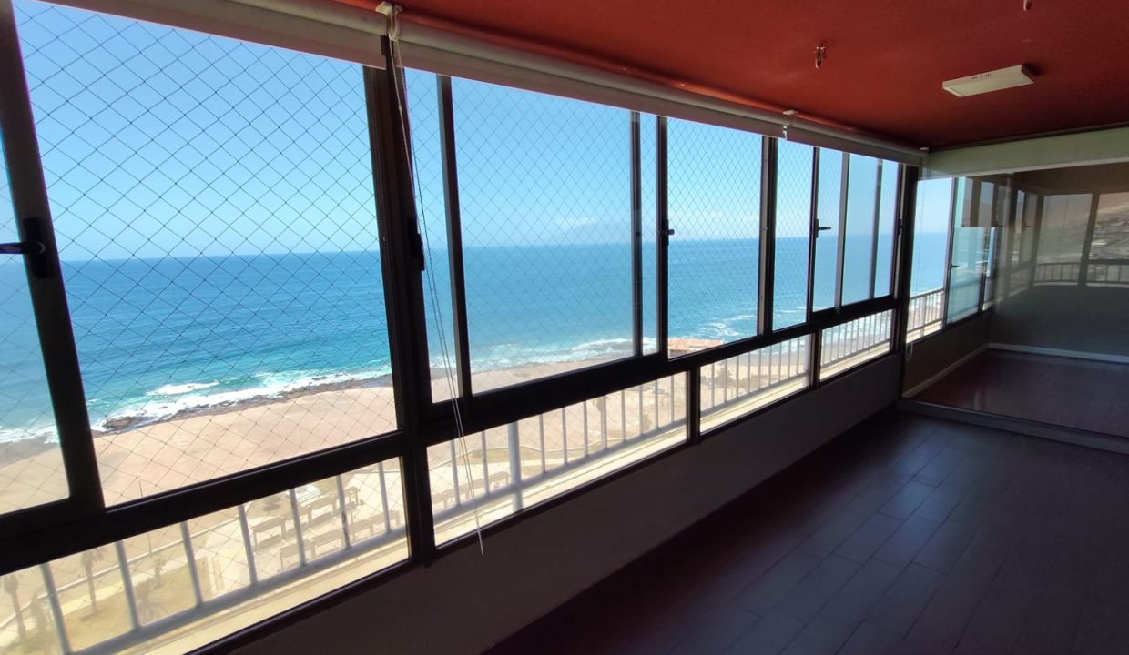 WhatsApp Image 2026-02-17 at 11.19.14 (1)