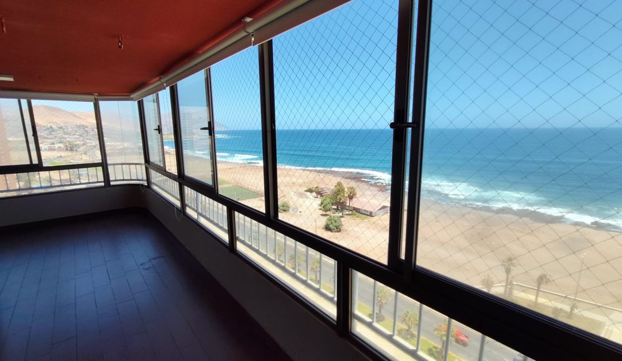 WhatsApp Image 2026-02-17 at 11.19.15