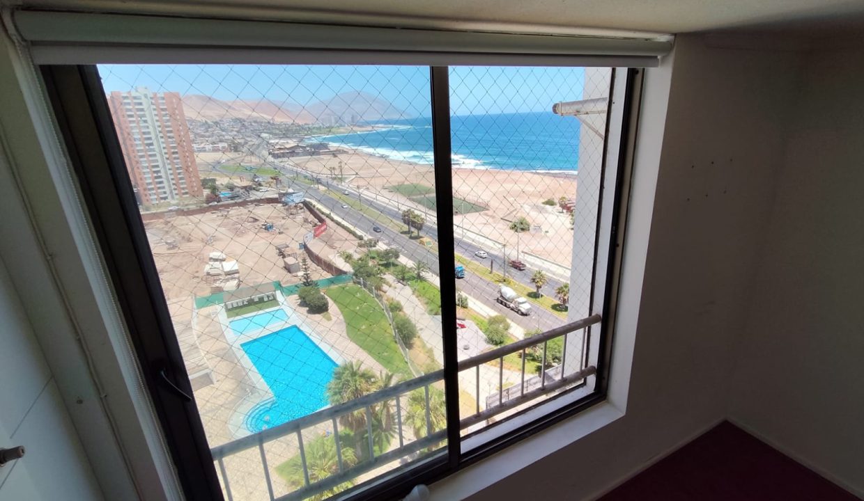 WhatsApp Image 2026-02-17 at 11.19.31