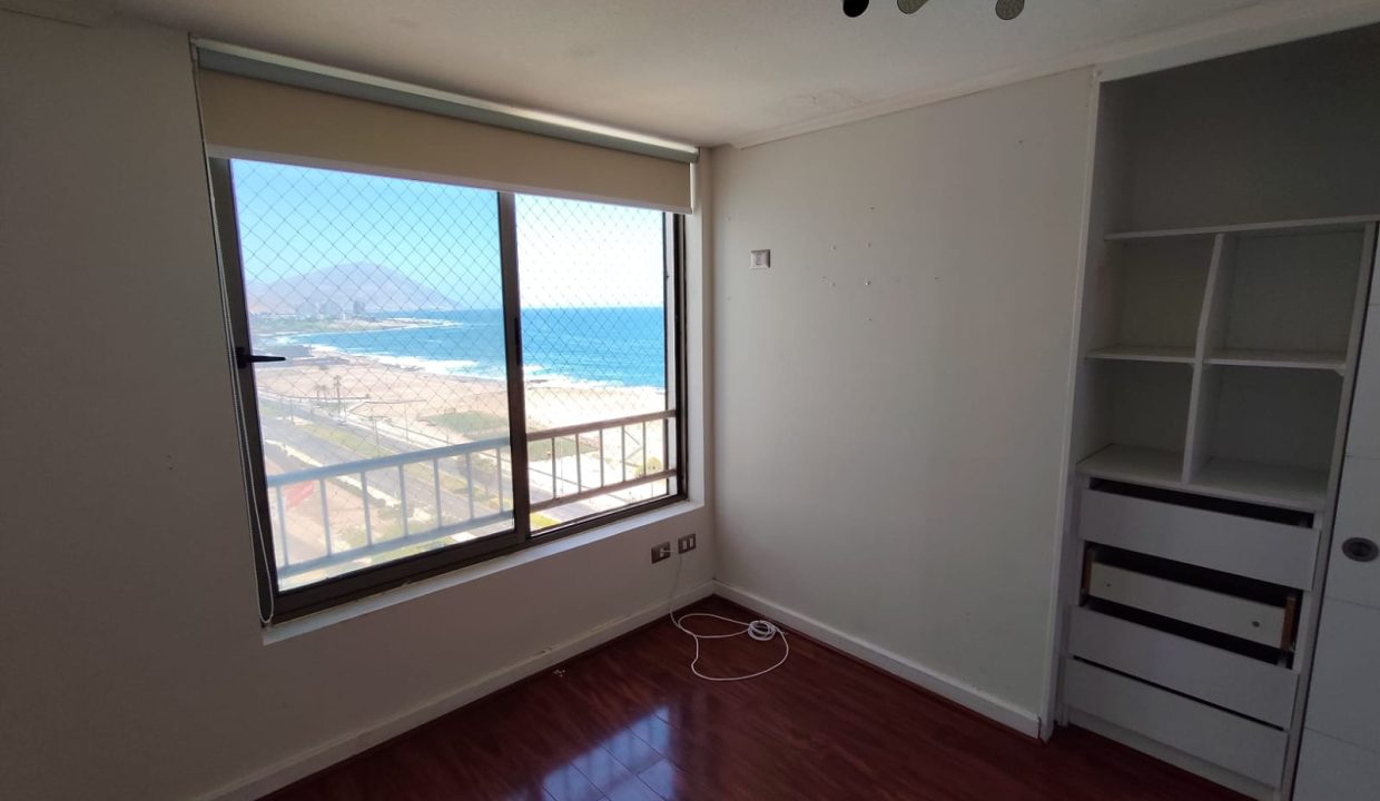 WhatsApp Image 2026-02-17 at 11.19.31 (3)