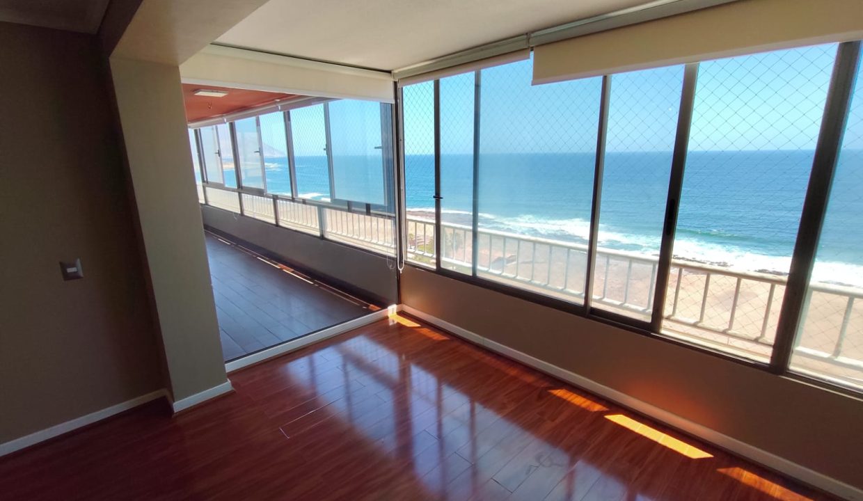 WhatsApp Image 2026-02-17 at 11.19.37 (1)