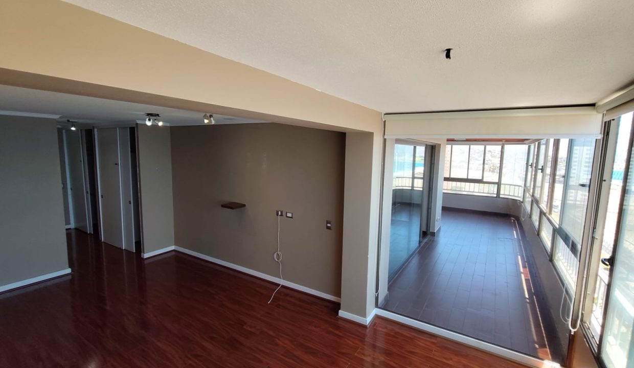 WhatsApp Image 2026-02-17 at 11.19.38