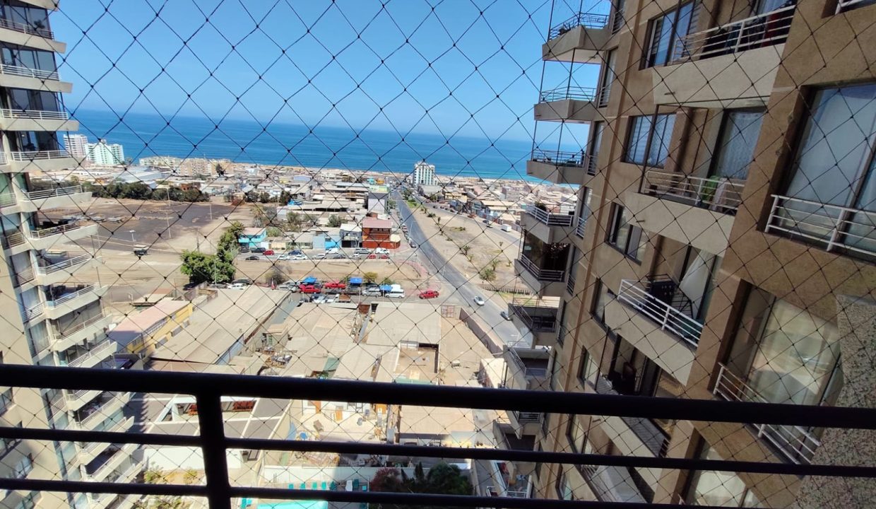 WhatsApp Image 2026-02-18 at 14.16.06