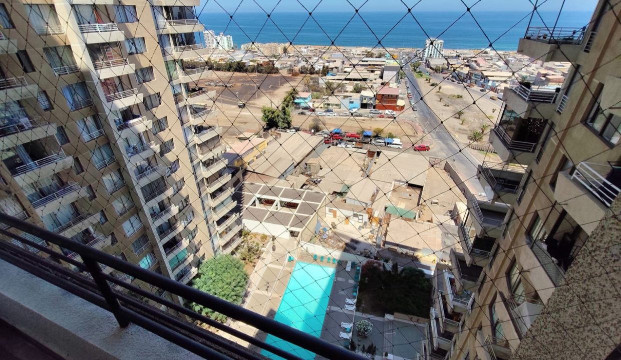 WhatsApp Image 2026-02-18 at 14.16.07