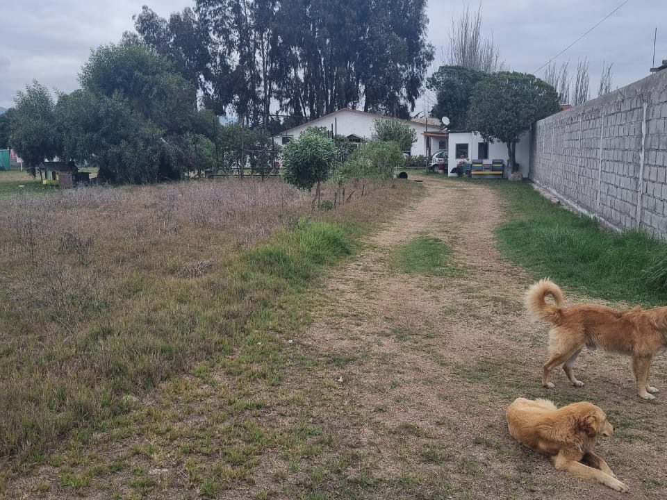 WhatsApp Image 2026-02-19 at 14.03.07