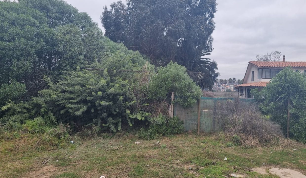 WhatsApp Image 2026-02-19 at 14.03.09 (1)