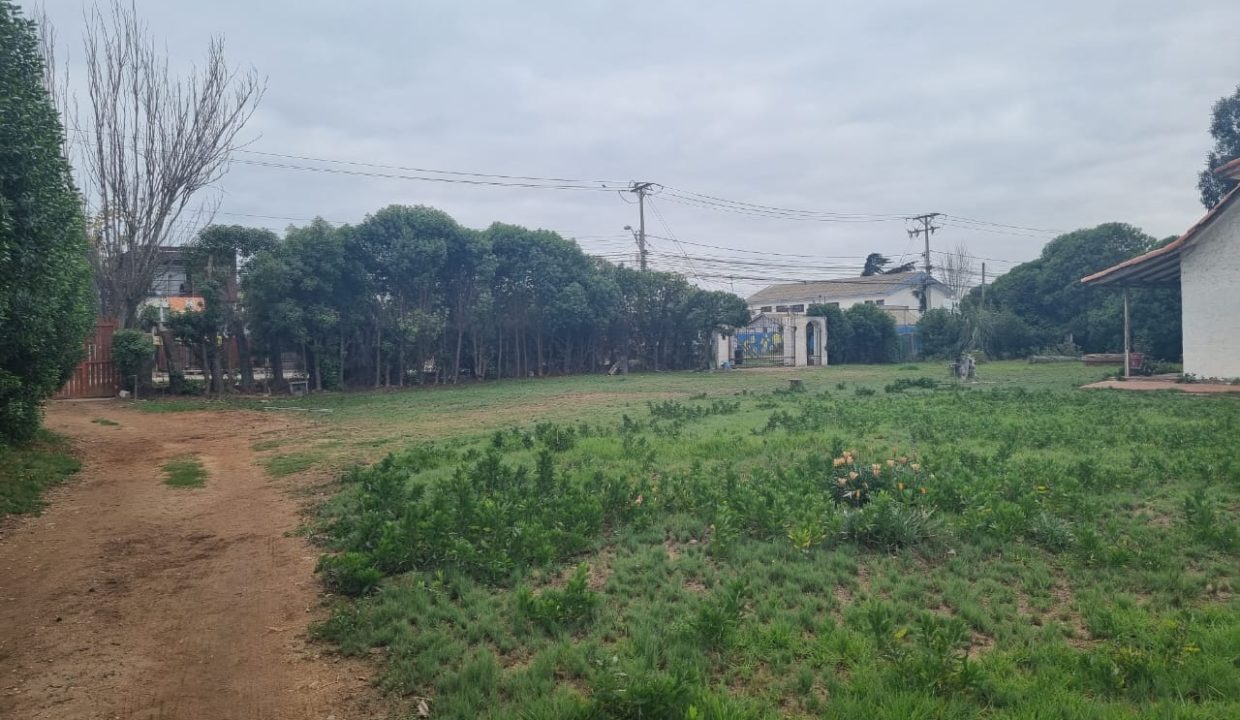 WhatsApp Image 2026-02-19 at 14.03.09 (2)