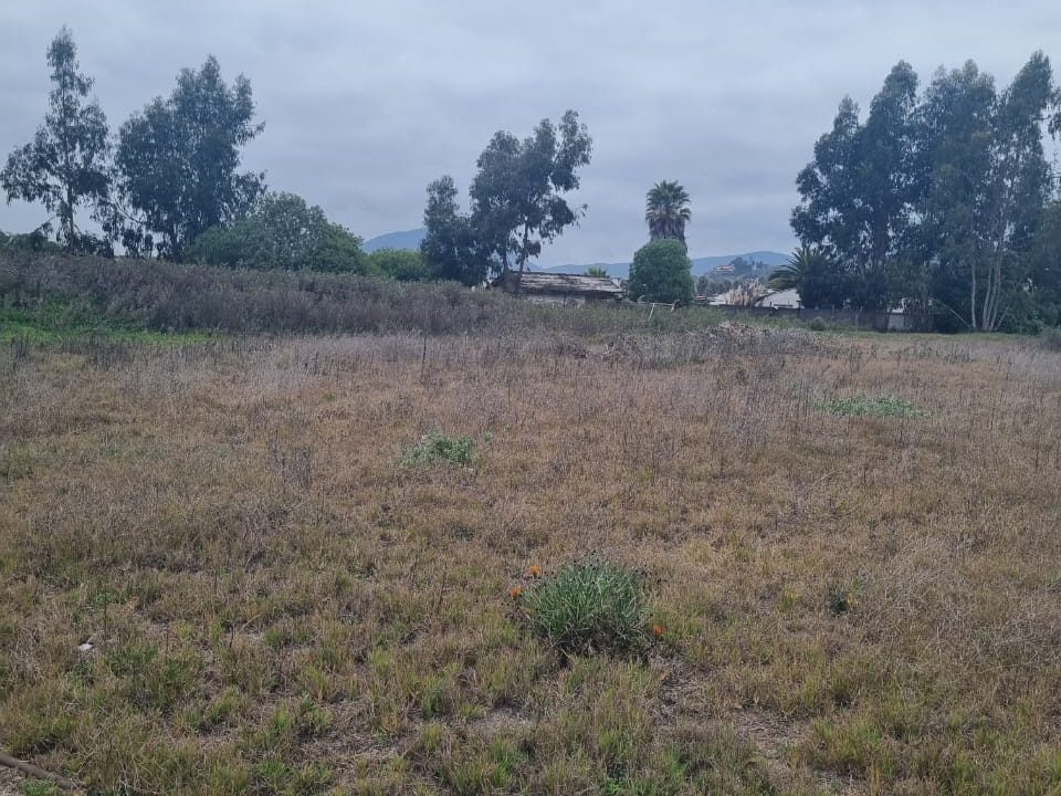 WhatsApp Image 2026-02-19 at 14.03.09 (3)