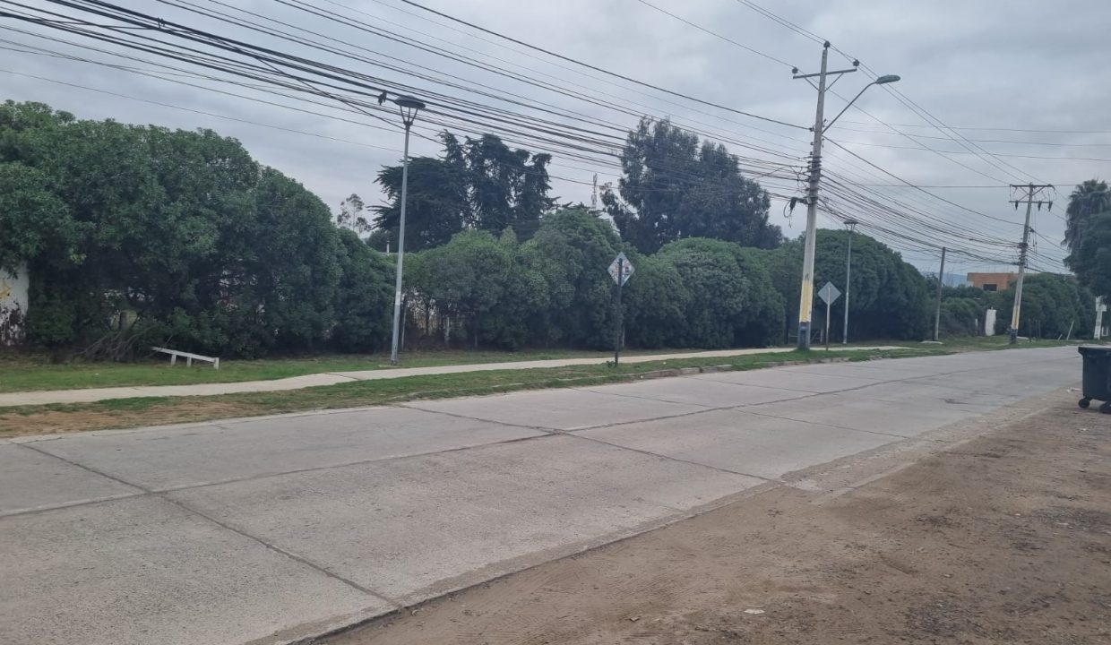 WhatsApp Image 2026-02-19 at 14.03.10