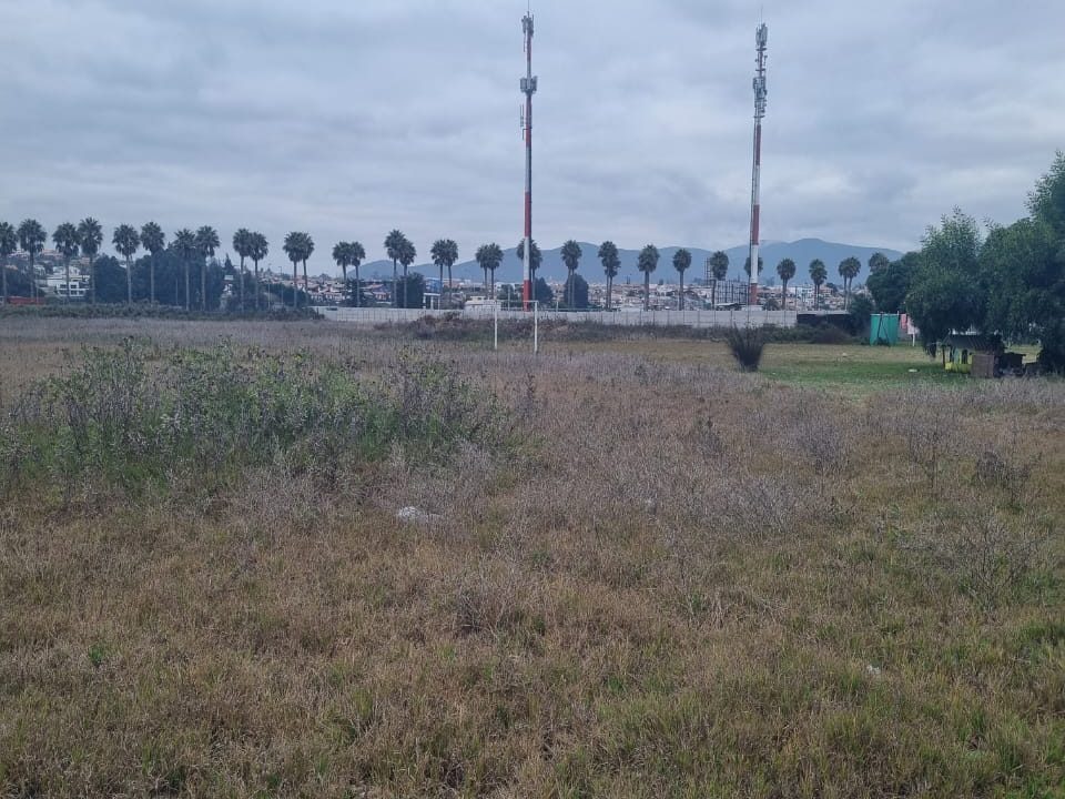 WhatsApp Image 2026-02-19 at 14.03.10 (2)