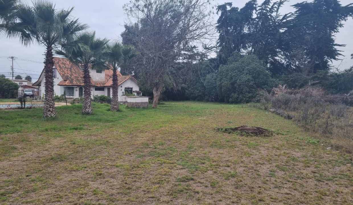 WhatsApp Image 2026-02-19 at 14.03.10 (4)