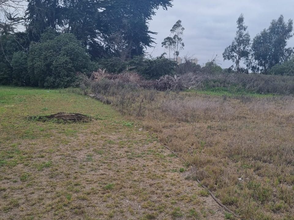 WhatsApp Image 2026-02-19 at 14.03.11 (2)