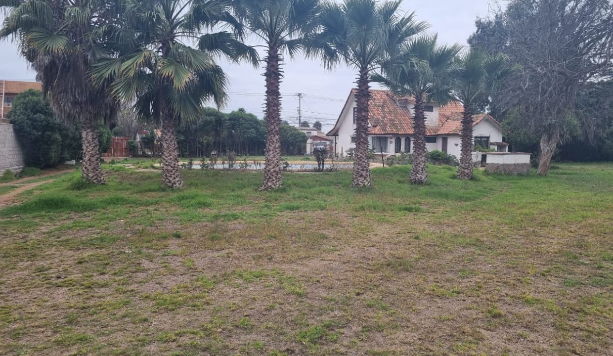 WhatsApp Image 2026-02-19 at 14.03.11 (3)