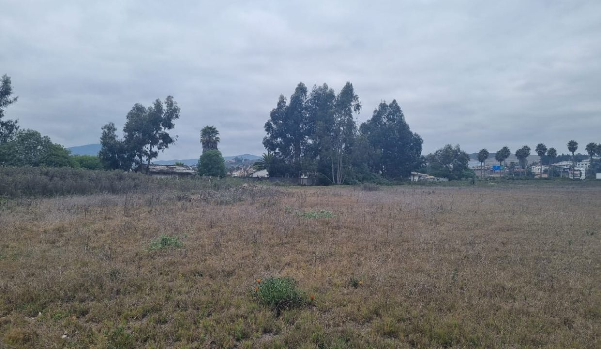 WhatsApp Image 2026-02-19 at 14.03.12 (1)