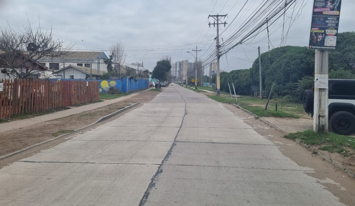 WhatsApp Image 2026-02-19 at 14.03.12