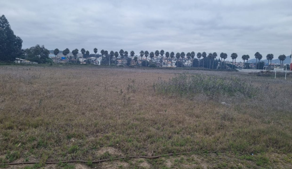 WhatsApp Image 2026-02-19 at 14.03.13 (2)