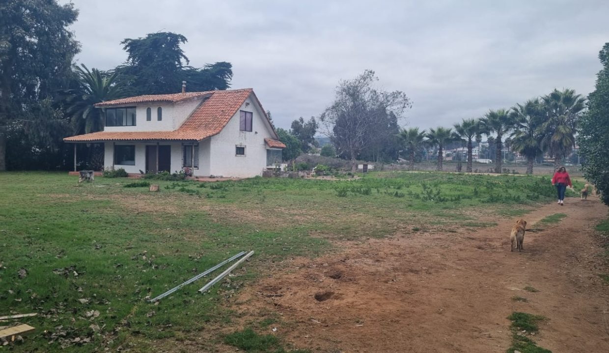 WhatsApp Image 2026-02-19 at 14.03.14 (3)