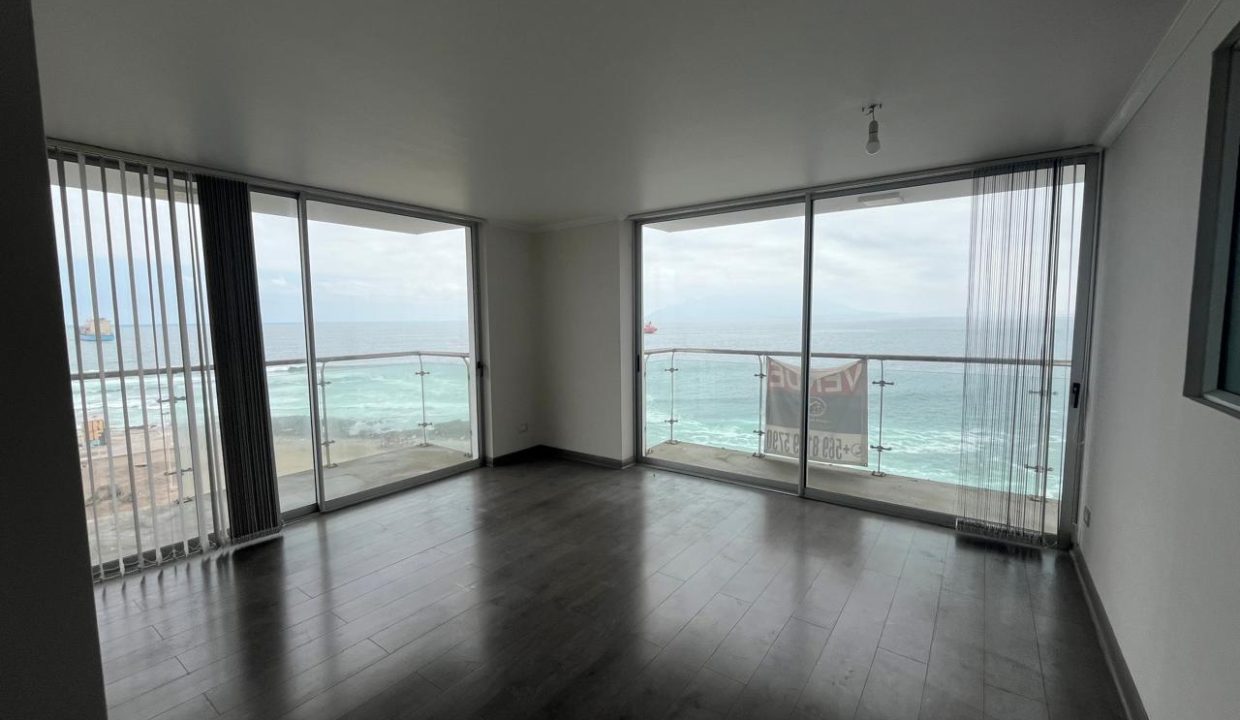 WhatsApp Image 2026-02-20 at 11.17.17 (1)