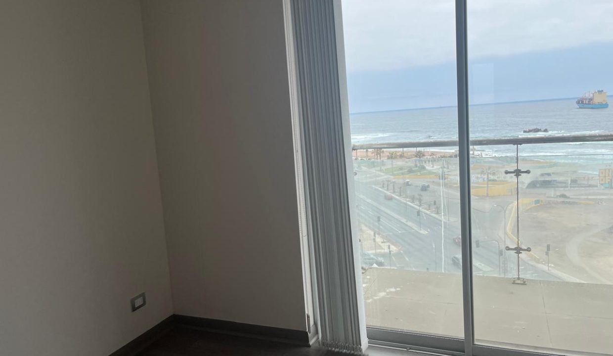 WhatsApp Image 2026-02-20 at 11.17.17 (11)