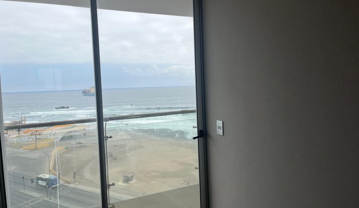 WhatsApp Image 2026-02-20 at 11.17.17 (12)