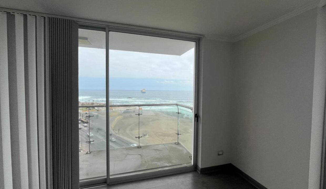 WhatsApp Image 2026-02-20 at 11.17.17