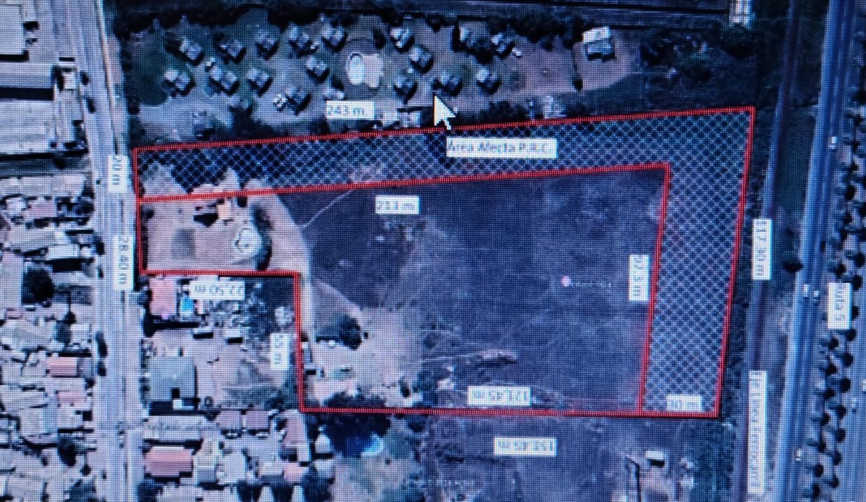 WhatsApp Image 2026-02-20 at 13.22.23