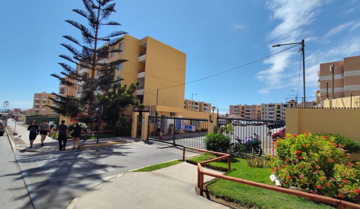 WhatsApp Image 2026-03-02 at 11.22.11 (4)