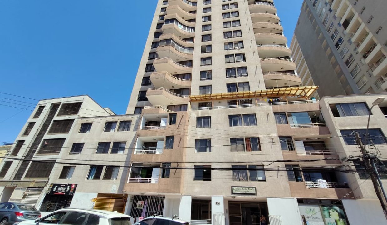 WhatsApp Image 2026-03-23 at 12.26.09 (1)